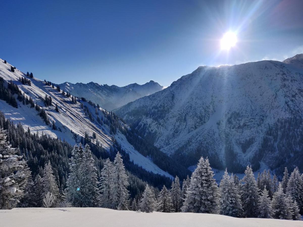 Appartement Alpenliebe Біхльбах Екстер'єр фото